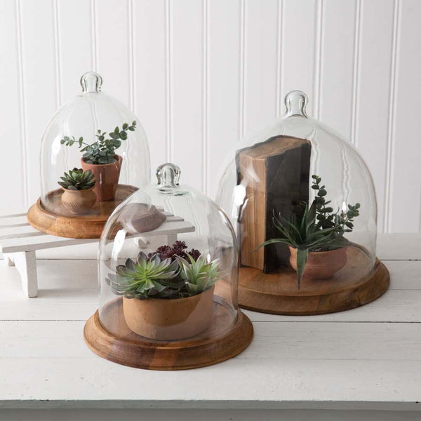 Large Wooden Base Glass Cloche Display Dome Default Title