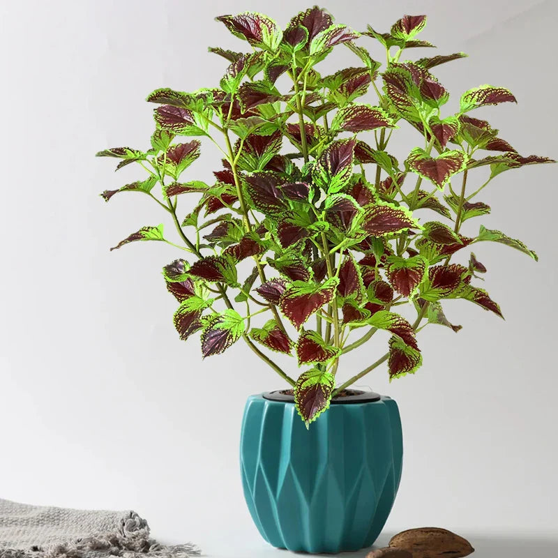 Dlight Decor Eucalyptus Tree for Tropical Indoor Floor Styling