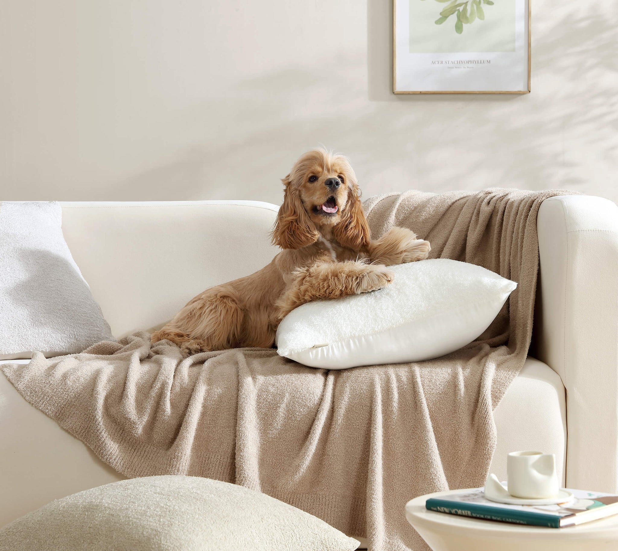 Cloud Silque Throw Pillow