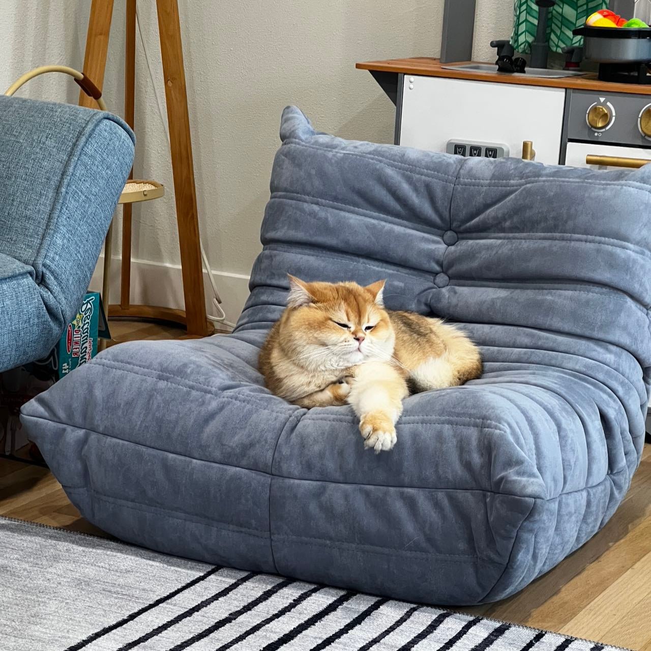 A fluffy cat lounges on a soft, grey Chillax Lounger Sofa Chair made with high-density foam in a cozy living room. Nearby are a blue armchair, a small table, and a toy kitchen set.