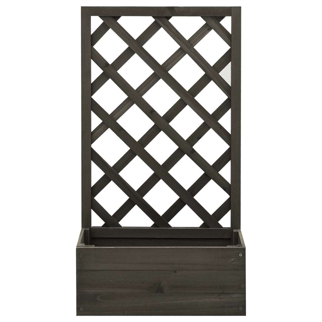 Garden Trellis Planter